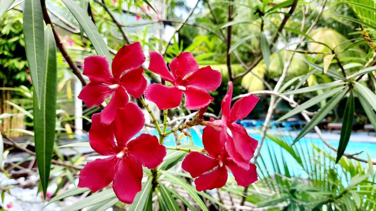 The Lodge Unawatuna Ngoại thất bức ảnh